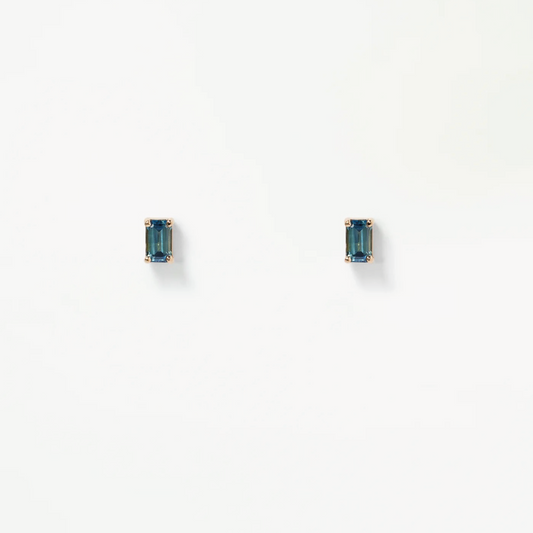 Dreamy Earrings